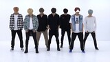 BTS DNA Mirrored Dance Practice