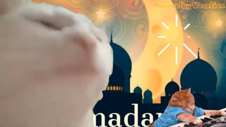 kucing lucu geleng-geleng kepala dengerin lagu ondel-ondel