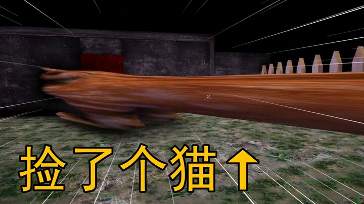 Cat: Am I growing a little too fast?