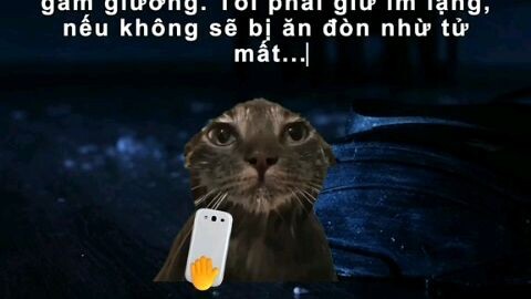 tình thế tiến không được lùi cũng không xong