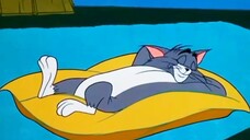 Tom and jerry | jerry quite contrary