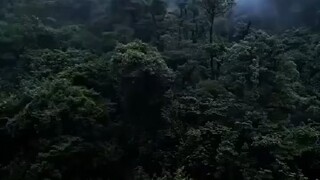 เย่ชิงชิน ทะลุมิติไปในยุคดึกดำบรรพ์ | พากย์ ไทย | เต็มเรื่อง#ซีรีย์