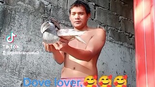 ito mga kalapated mag pa pa feed..