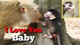 MG, I Love You Baby, Pigtail Monkey Fell In Love Of Baby Anya, Very Sweet Pigtail Monkey Give 1 Kiss