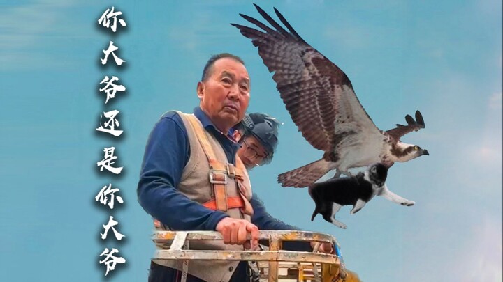 What! An eagle is carrying a kitten? The old man turned around and took it out!