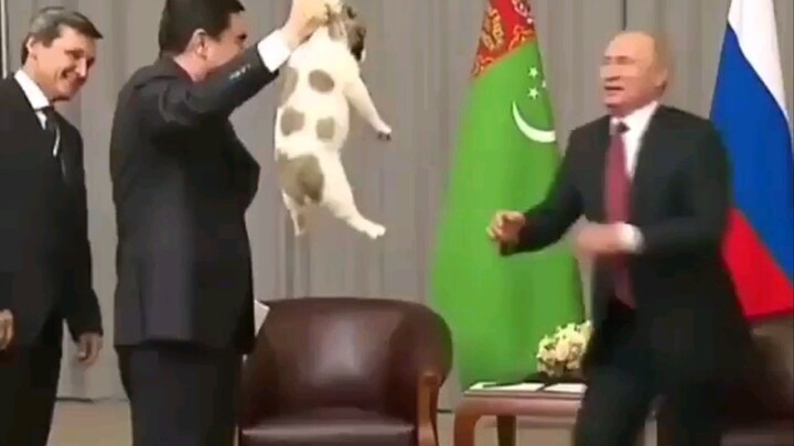 Putin is pleased with another dog