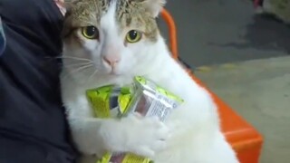 Please don't steal my food.