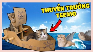 MÈO LÀM CƯỚP BIỂN GIỐNG TRÊN TIKTOK | The Happy Pets #88