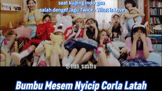 misheard lagu Twice - What is Love