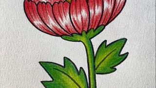 Hãy vẽ hoa 3D theo cách của tôi, vừa đơn giản lại đẹp mắt, không tin bạn cứ thử xem! #hoa3D #vẽchữgi