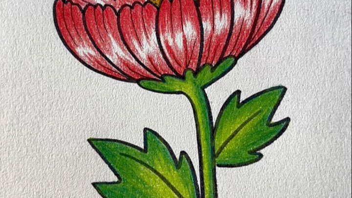 跟我这样画立体花朵，简单又好看，不信你试试！#立体花朵 #简笔画 #画花 #跟我一起学画画