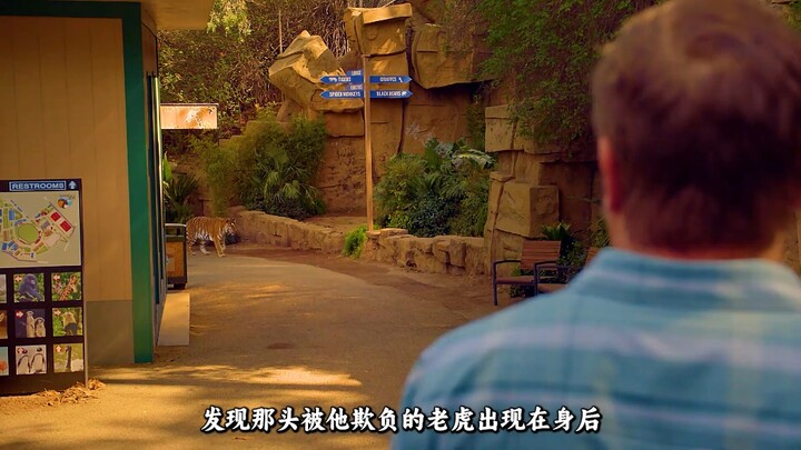 A man provoked a tiger just to take a photo—and ended up losing his life!