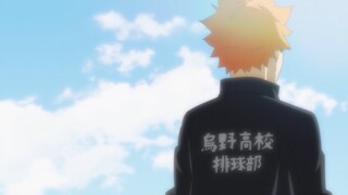 最强诱饵 小巨人？ 日向翔阳 星海光来