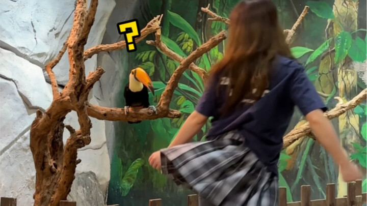 Opening the zoo the Zhang Yuanying way—by spinning in circles!