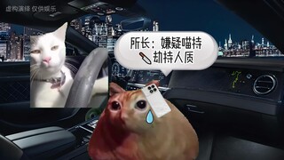 根根喵👮‍的危机——惊魂夜（一）