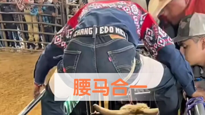 牛:不 把 你 抖 下 来 算 我 输  。