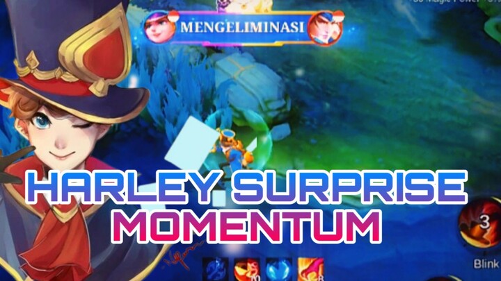 HARLEY SURPRISE MOMENTUM