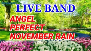 LIVE BAND || ANGEL | PERFECT | NOVEMBER RAIN