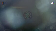 บ่วงนฤมิต Ep 11 (ตอนจบ)