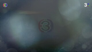 บ่วงนฤมิต Ep 11 (ตอนจบ)
