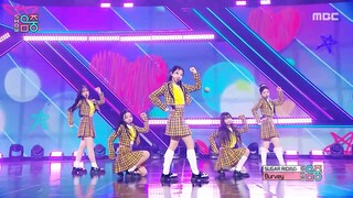 Burvey SUGAR RIDING Performance