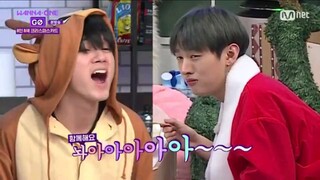 Wanna One Go Zero Base eps 6 season 1 sub indonesia