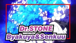Dr.STONE | Byakuya dan Senkuu