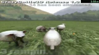 Dreams during a fever are like: