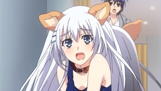 Dia layak menjadi ahli origami. Dia masih hentai bahkan setelah kehilangan ingatannya.