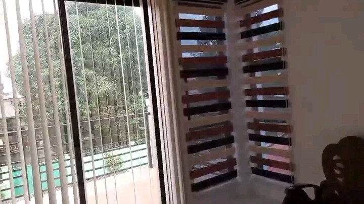 window blinds