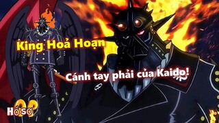 Tất tần tật về King “Hoả Hoạn” Hậu duệ Thần Lửa, Cánh tay phải của Kaido!