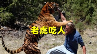 Why must a tiger that ate humans be killed? The man-eating tiger that ate 436 people is the nightmar
