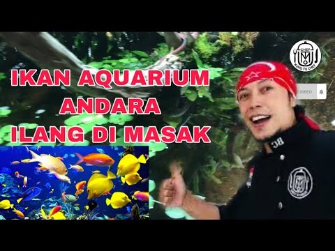 RAFFI AKHMAD KEHILANGAN SESUATU TERSANGKA ADA DI CCTV