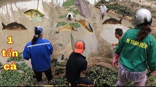 Cả Team Săn Bắt Ẩm Thực Vùng Cao Kéo Cá Truy Tìm Con Thủy Quái | Trần Thạch Vlogs