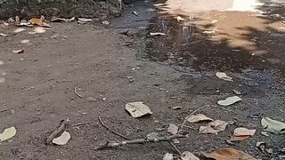 rabat kph