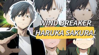 「AMV」MC BARU MUSIM INI❗HARUKA SAKURA || WIND BREAKER