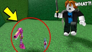 HOW IS THIS NOT BANNED in Roblox Murder Mystery 2?