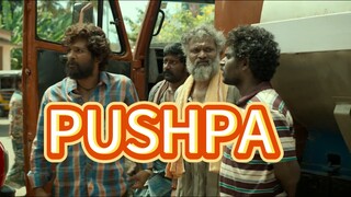 pushpa Hindi movie