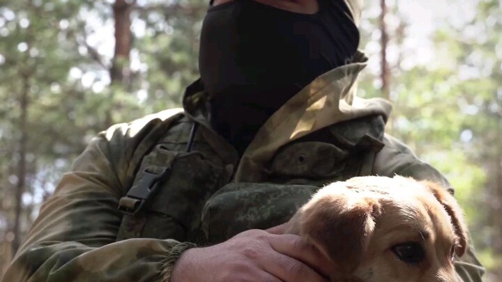 Dog at war/战争中的狗