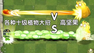 各种十级植物大招 VS 高坚果【Pvz2】