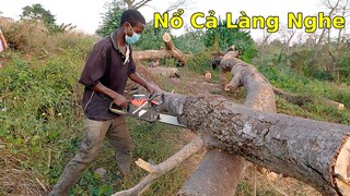 Anh đốt than châu phi sử dụng cưa máy được tặng như thế nào?||Ahihi cuộc sống châu phi