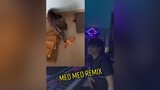 1 chiếc mèo cute remix remix dj music vinahouse foryou TikTokGGVN mèocute