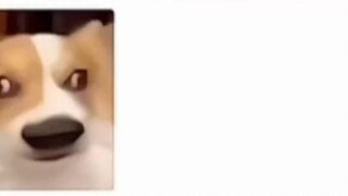 The enemy is a hearty shadow play