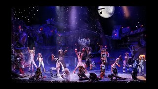 The Jellicle Ball - Cats México 2019