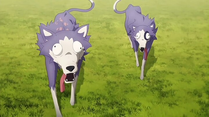 These two dogs look really smart at a glance.