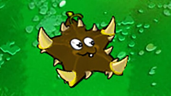 Groundthorn Starfruit Returns!