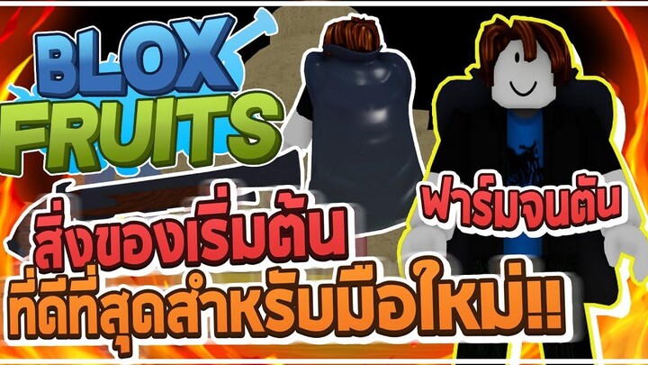 Roblox Blox Fruits ฟาร์มจนตัน - พาไปซื้อสิ่งของที่สำคัญสำหรับมือใหม่ เป็นของเริ่มต้นที่ดีที่สุด!