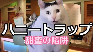 【熟/猫meme】健身房の特级咒灵（3）