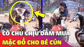 Nghẹn ngào khoảnh khắc chủ MẶC ĐỒ cho chú Cún giữa TRỜI MƯA BÃO mà quên luôn bản thân mình 🥰 Gâu Đần