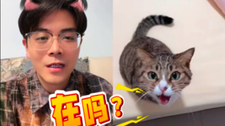 喵语网恋！小猫有事call me！
